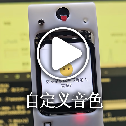 Custom voice timbre